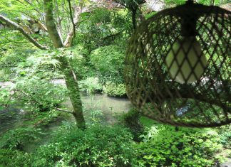 無呼吸にはリラックスを