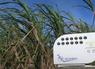 動物全てに優しい滝イオン