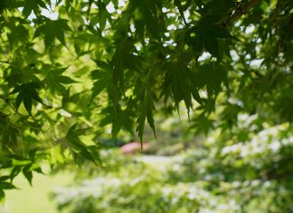 空気が別世界のよう